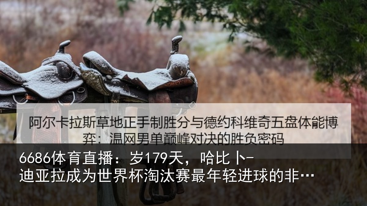 6686体育直播：岁179天，哈比卜-迪亚拉成为世界杯淘汰赛最年轻进球的非洲球员