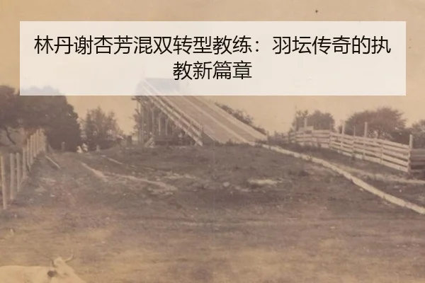 lin-dan-xie-xing-fang-hun-shuang-zhuan-xing-jiao-lian-yu-tan-chuan-qi-de-zhi-jiao-xin-pian-zhang-2-803.jpg