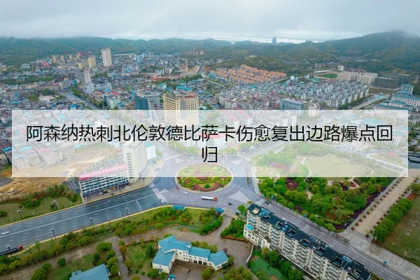 a-sen-na-re-ci-bei-lun-dun-de-bi-sa-ka-shang-yu-fu-chu-bian-lu-bao-dian-hui-gui-2-513.jpg