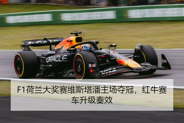 he-lan-da-jiang-sai-wei-si-ta-pan-zhu-chang-duo-guan-hong-niu-sai-che-sheng-ji-zou-xiao-2-875.jpg